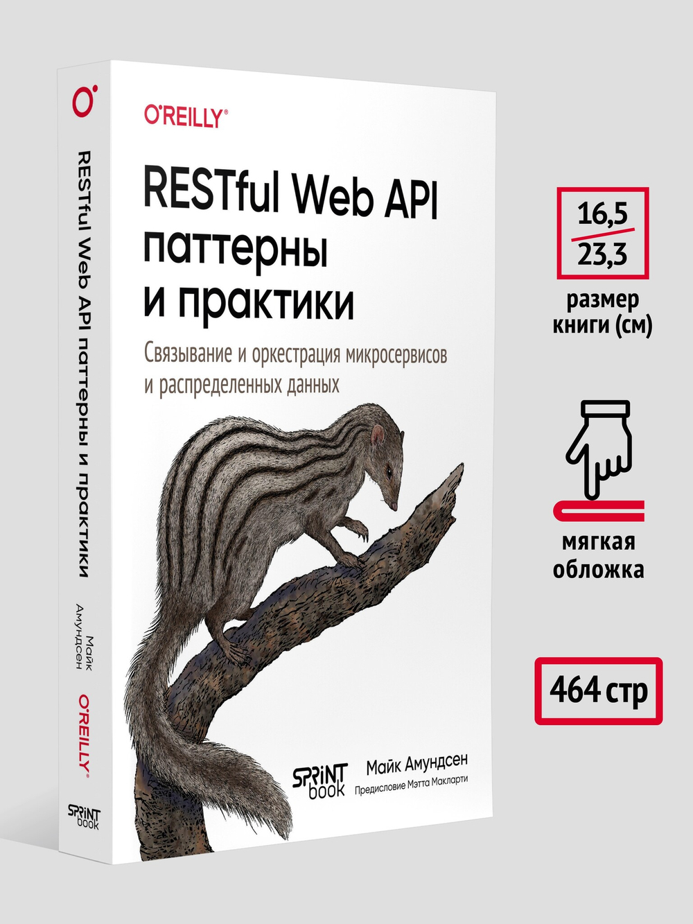 RESTful Web API паттерны и практики