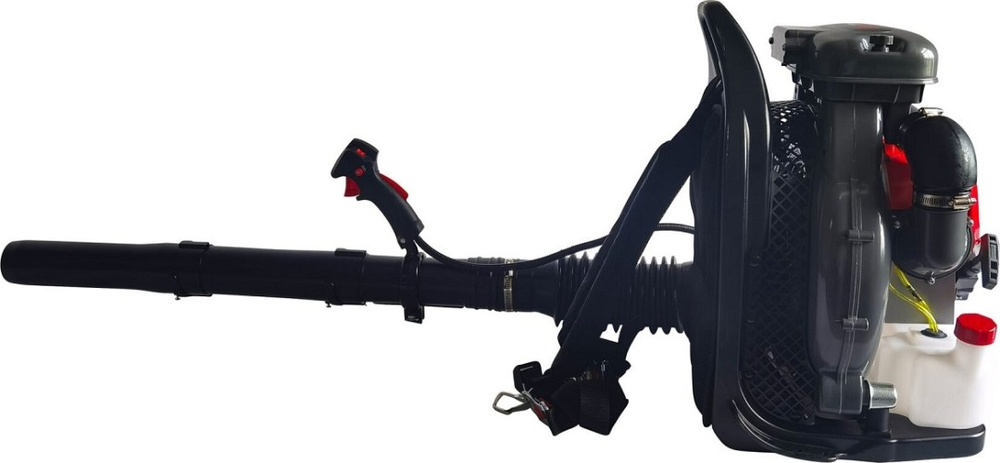 Воздуходувка бензиновая Evoline BLG 80 BP BLG80BP