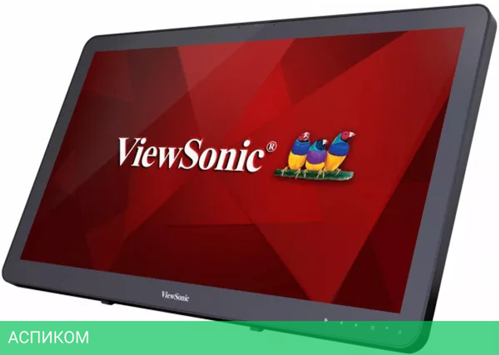 Монитор ViewSonic TD2430