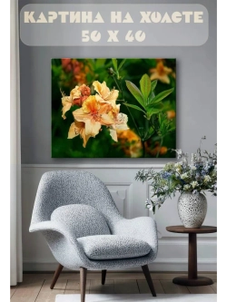 Картина на стену 40 X 50 Лилейник