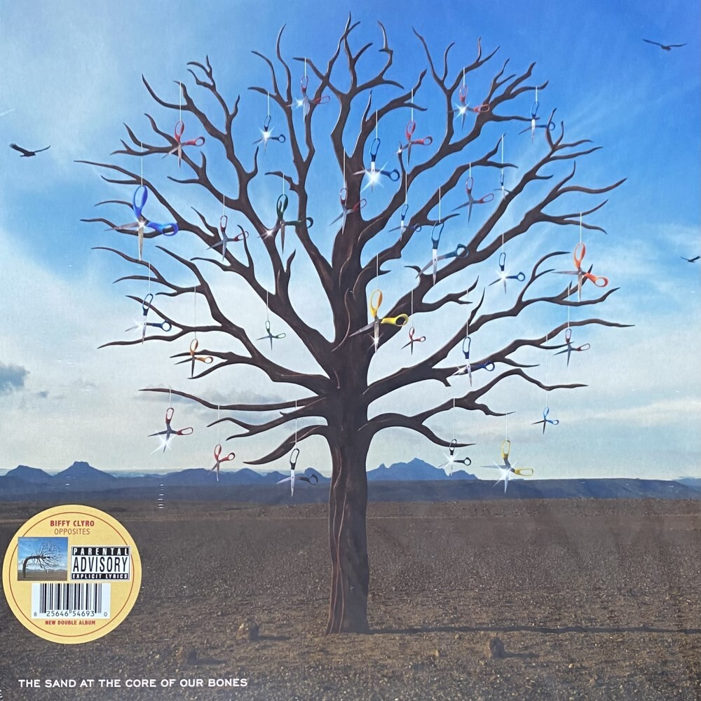 Biffy Clyro Opposites