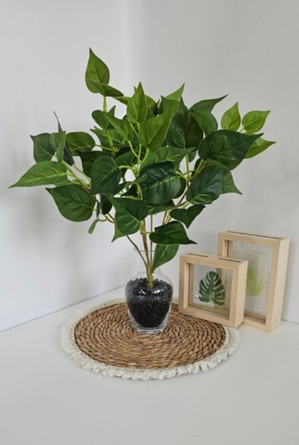 Куст фикуса / Арт 6055