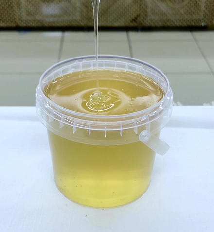 Мёд донниковый белый (3 литра) Алтайский кр.