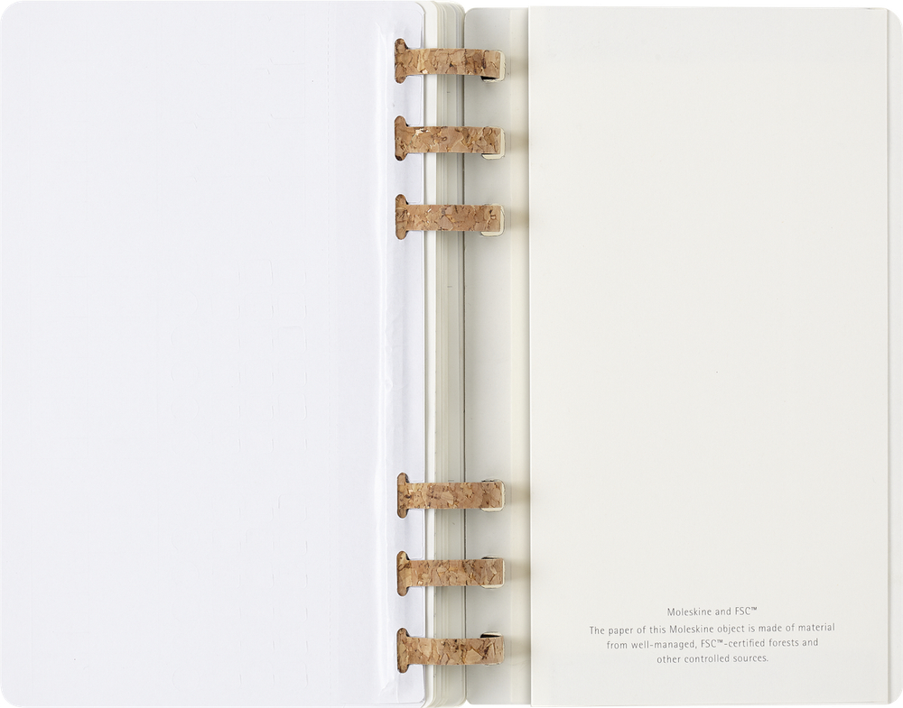 Еженедельник Moleskine ACADEMIC SPIRAL (DSSPB12AMWH3) Large 150х210мм 200стр кремовые страницы спираль черный