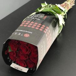 Роза Finally, плантация Tessa | Опт