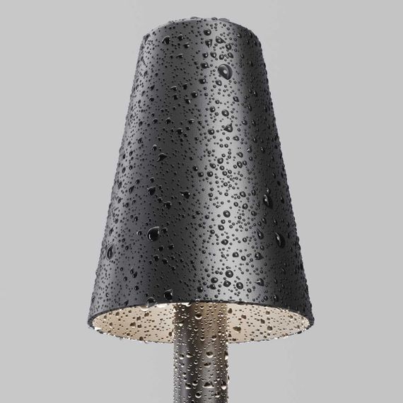 Ландшафтный светильник Maytoni Outdoor O504FL-L1B3K1