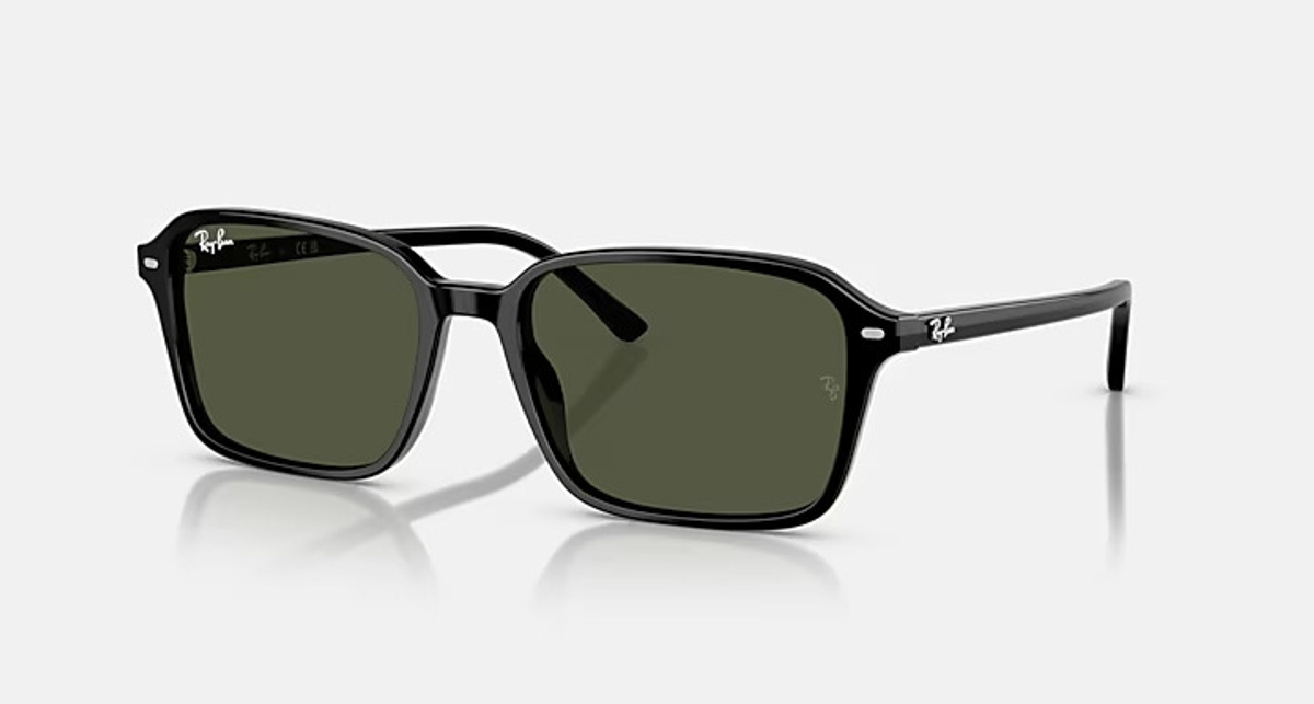 RAY-BAN RAIMOND RB2231-F 901/31