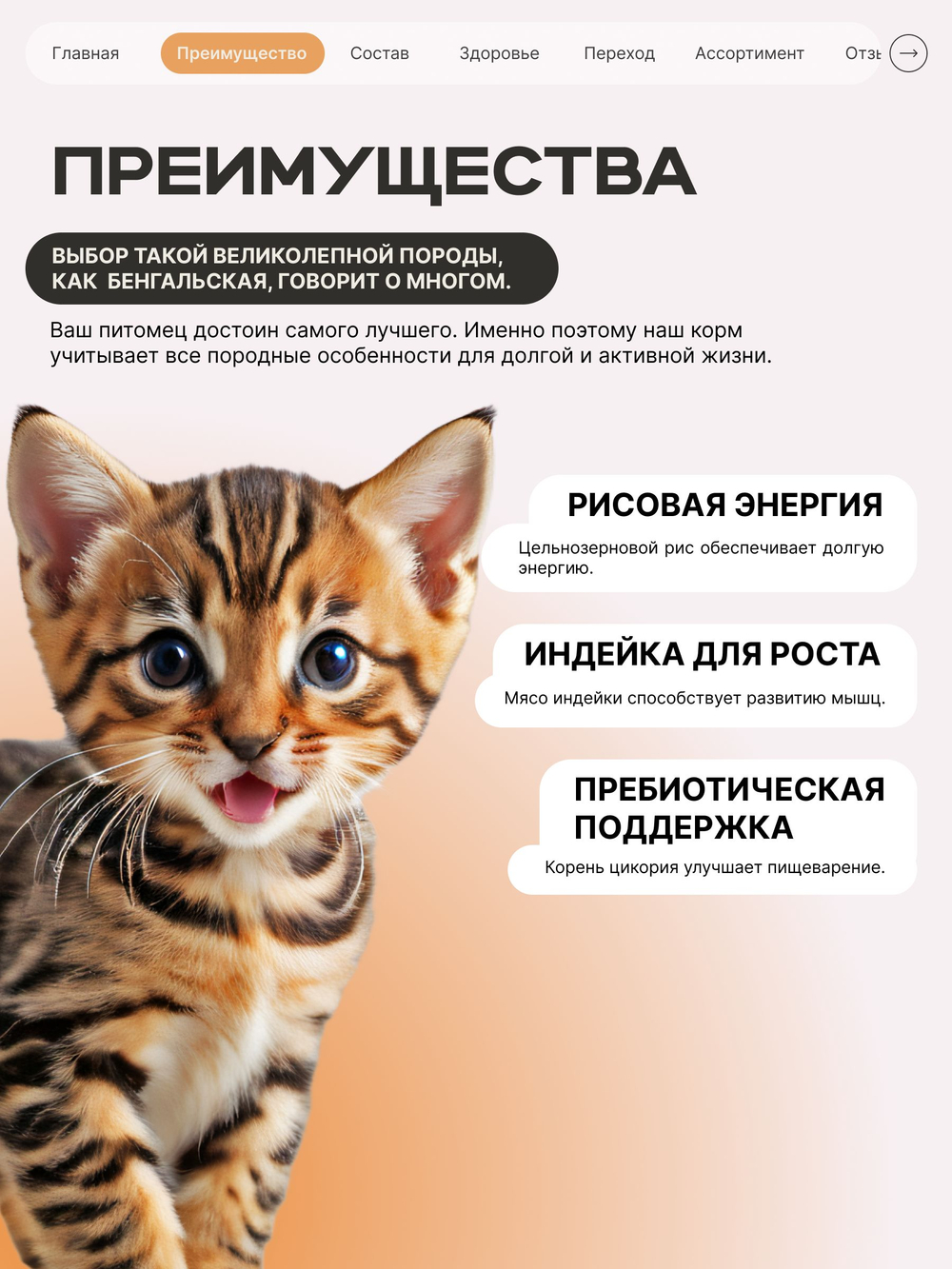Корм сухой для котят породы Бенгальская, с индейкой, 2кг, QUATTRO