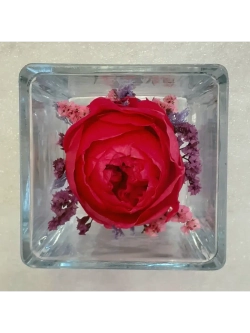 натуральный пион в стекле, вакуум*