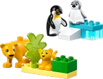 Конструктор LEGO Duplo 10941 Семейства диких животных: Пингвины и львы