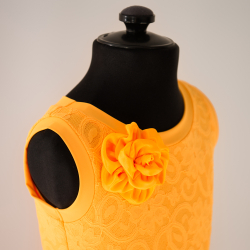 рейтинговое платье