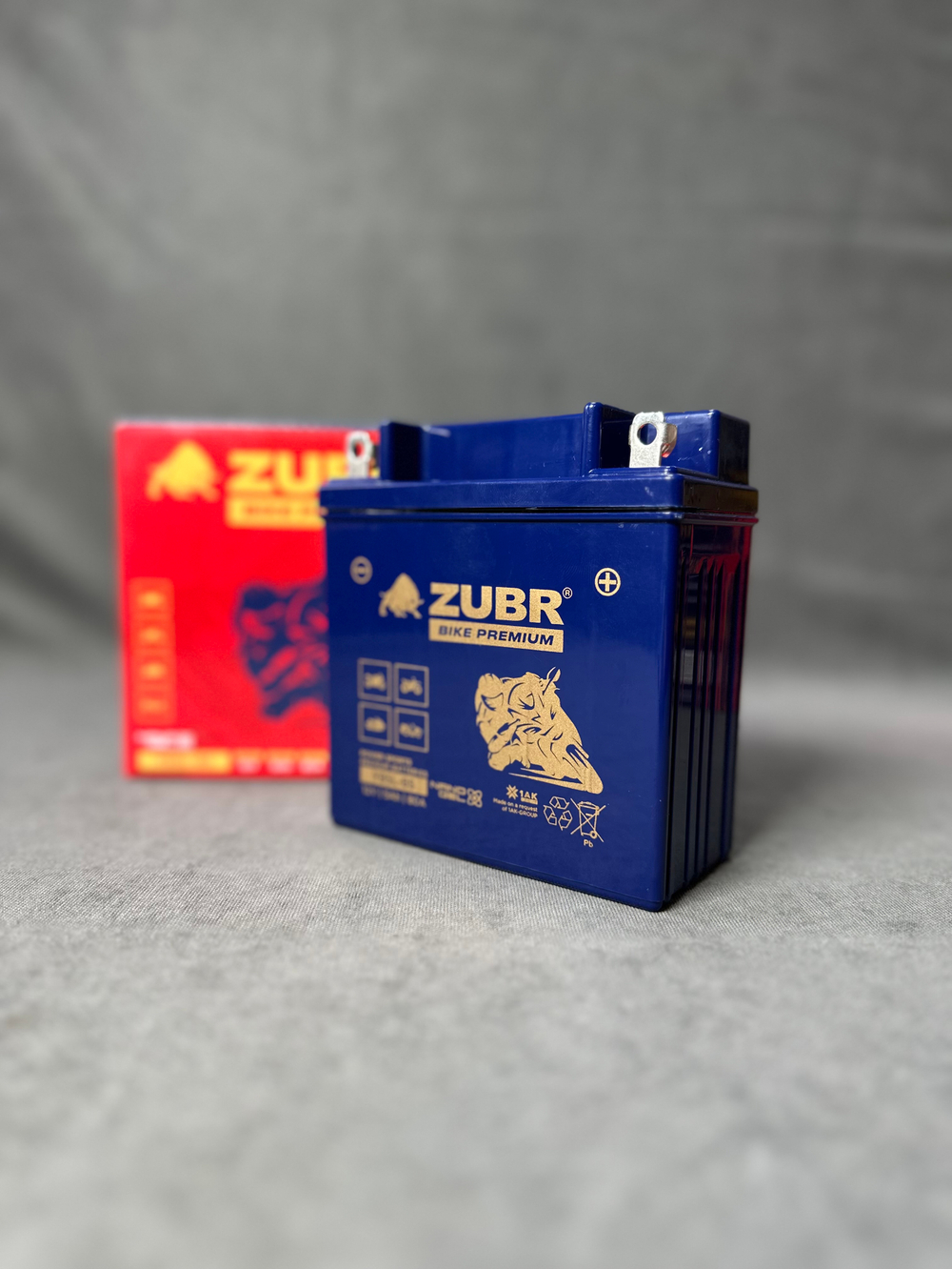 Аккумулятор для мотоцикла ZUBR (5 Ah) 80 A, 12 V Обратная, R+ YB5L-BS YB5L-BS (ZubrPrem)