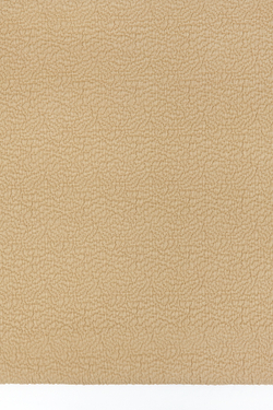 Покрывало 220x240 Luxberry Табачное дерево бежевое Вид