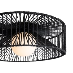 Потолочный светильник Freya COTTAGE FR5405CL-01B