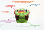 Интерактивный развивающий стол Арбузик