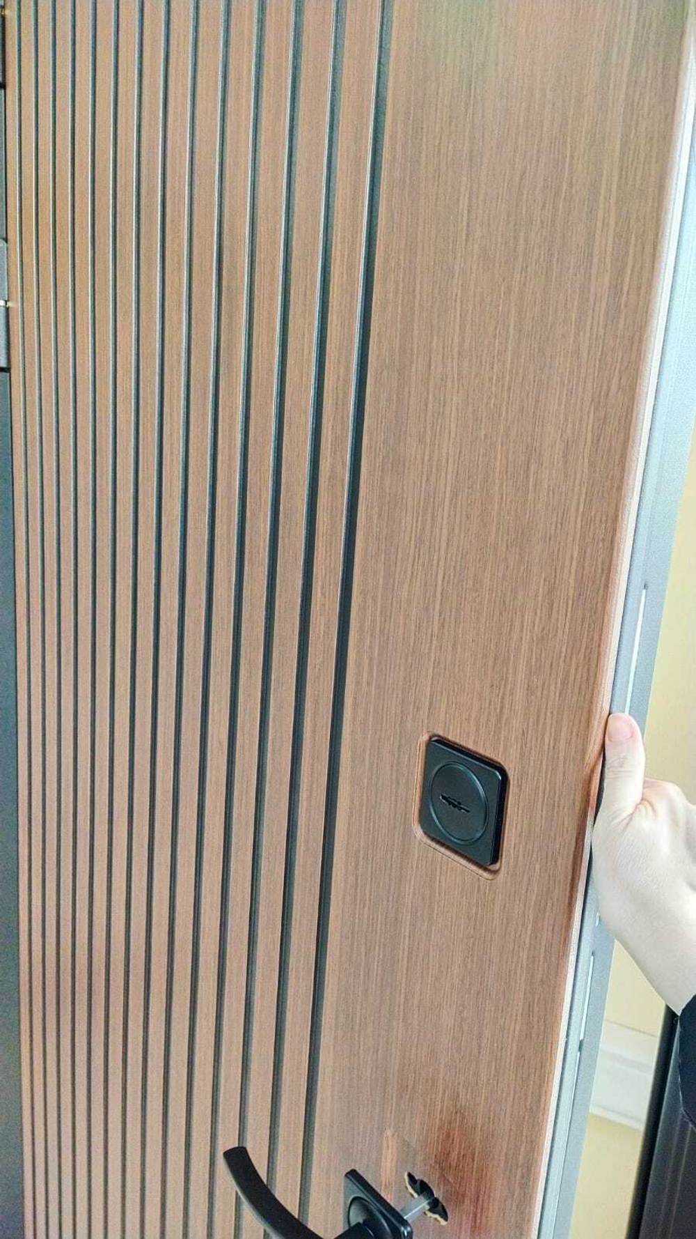 Дверь входная Лабиринт STORM 01 Венге , стекло белое  металлическая