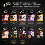 Говядина паштет, 85г влажный корм для собак, Cesar
