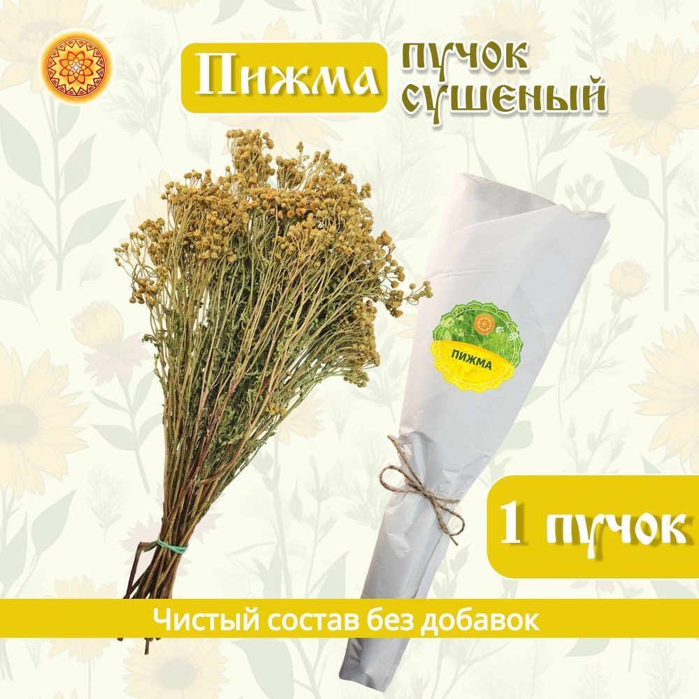 Пижма, пучок (1 шт.)  ПЖПЧ-00-001