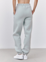 Брюки женские с начесом (светло-серый)