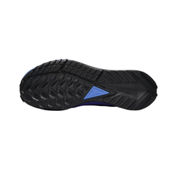 Мужские кроссовки Nike Pegasus Trail 4 Gore-tex 'Brown Black Blue' FB2193-200