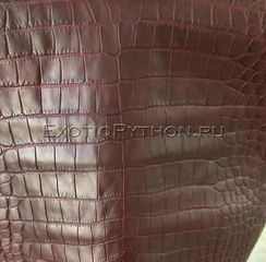 Кожа крокодила SK-45