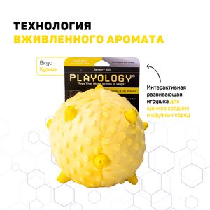 Сенсорный плюшевый мяч Playology PUPPY SENSORY BALL 15 см для щенков средних и крупных пород 8-16 недель с ароматом курицы, цвет желтый