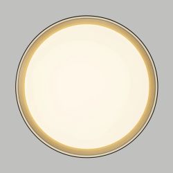 Citilux BOSS CL751351G LED RGB Светильник с пультом Чёрный с Золотом