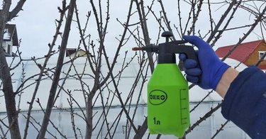 Первая обработка сада в Иркутской области: что, когда и чем опрыскивать по «голым» веткам