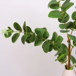 Цветок искусственный «Natur» 95см Ветка эвкалипта ярко-зеленая