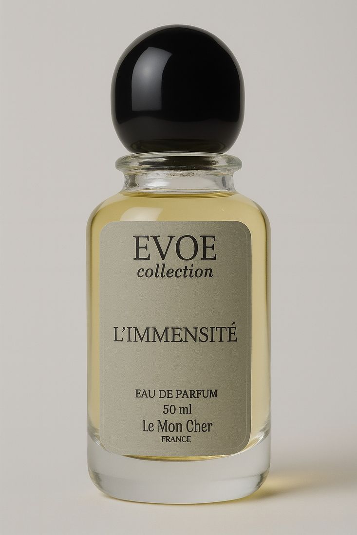 Le Mon Cher L'immensite парфюмерная вода EDP 50 мл, для мужчин