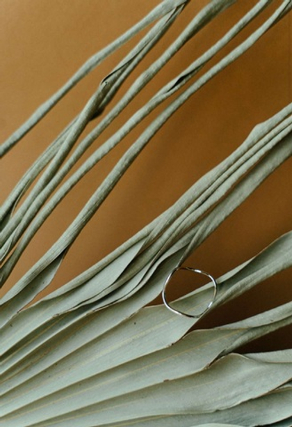 кольцо волна