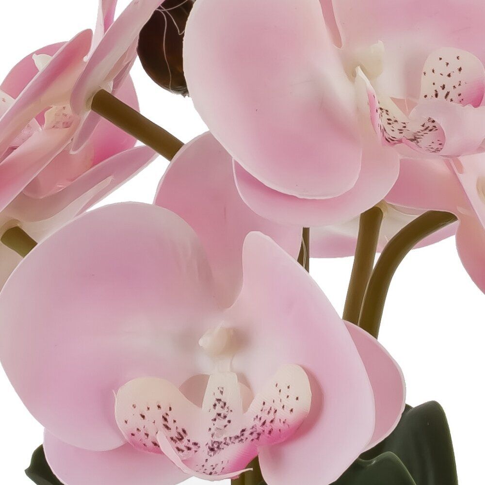 GAEM Цветочная композиция "Орхидея", L14 W12 H29 см