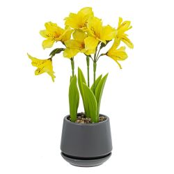 GAEM Цветочная композиция "Альстромерия", L17 W17 H31 см