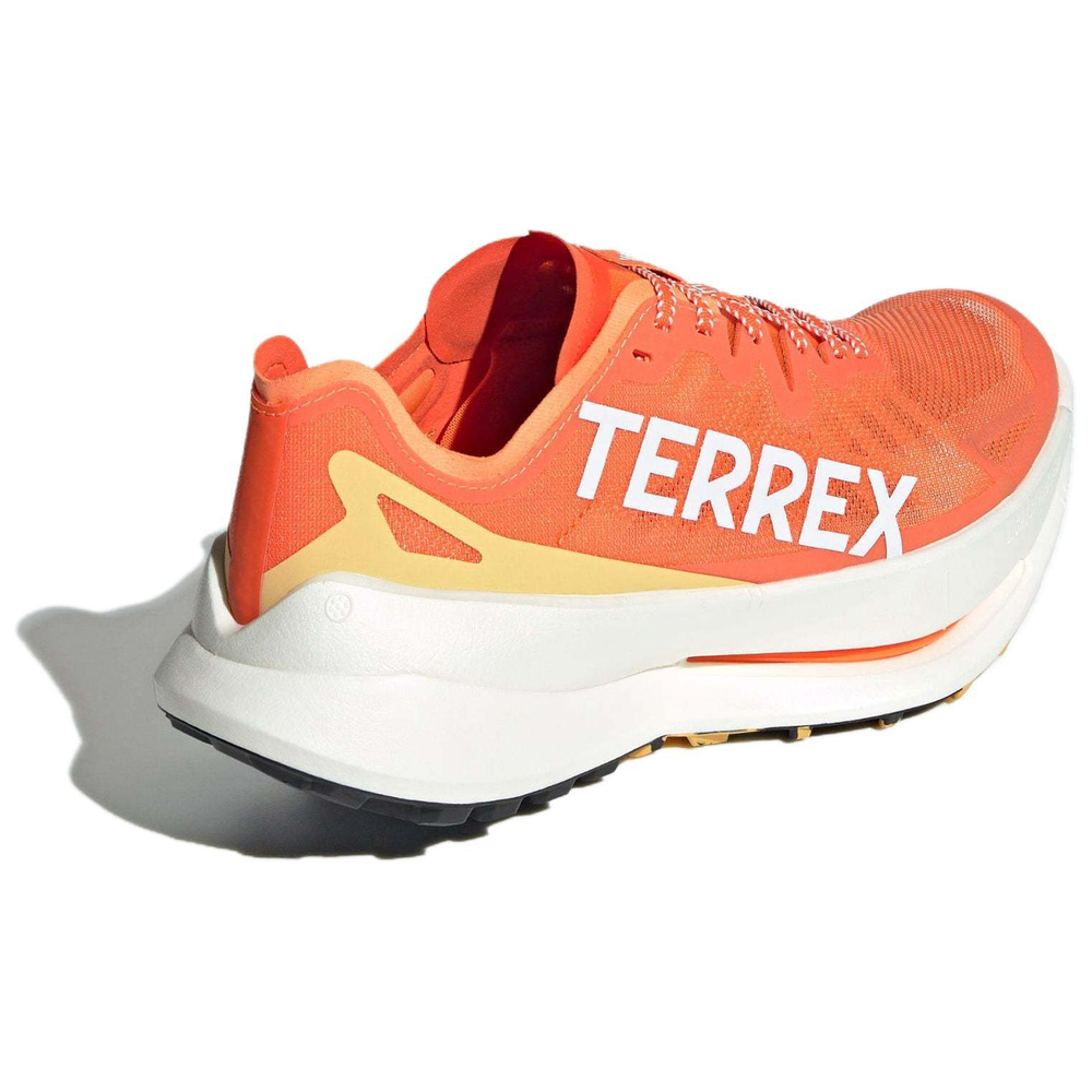 Кроссовки Adidas Terrex Agravic Lightstrike Pro