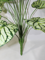 Искусственное растение Алоказия Арма салатовая 100см