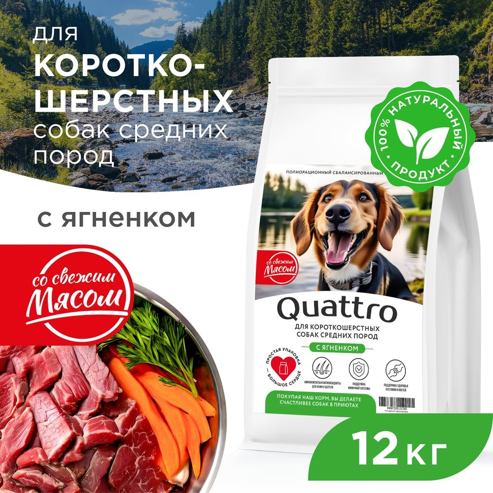 Корм сухой для взрослых собак средних пород, премиум полнорационный комплекс, для короткошерстных собак, с ягненком, 12 кг, QUATTRO