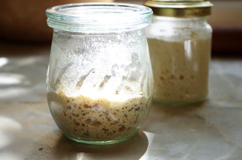 Новичкам про закваску (ответы на популярные вопросы)