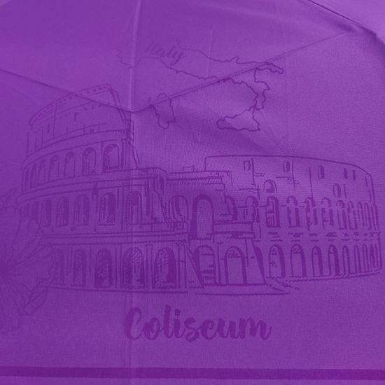 Женский зонт Три Слона - Полный автомат 198-B-11