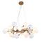 Подвесная люстра Favourite Babylon 2515-15P