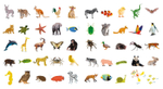First Animals. Clever Encyclopedia