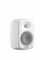 Genelec 4020CXM