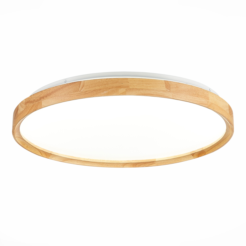 Светильник потолочный Evoluce Delia SLE201382-01