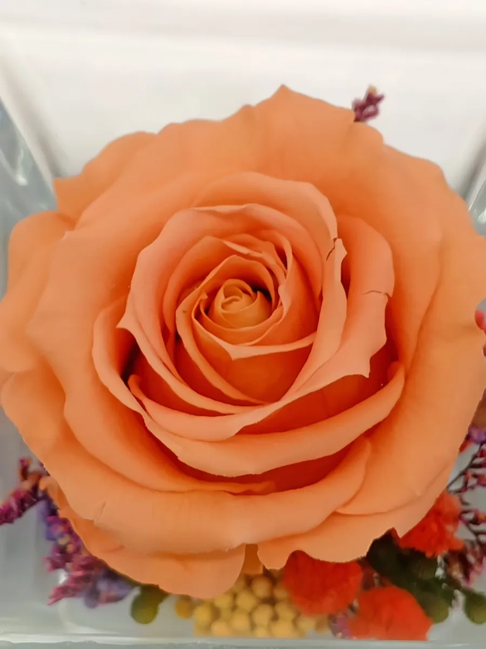 натуральная роза в стекле, вакуум*