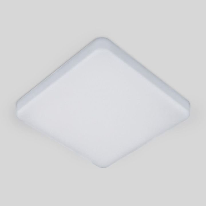 Потолочный светодиодный светильник Elektrostandard DLS043 10W 4200K a047941