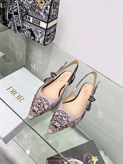 Балетки Christian Dior