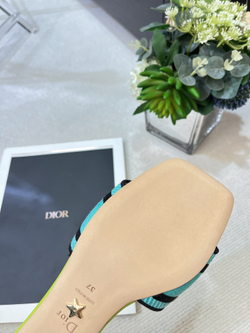 Christian Dior Dway Slide (11 colors)