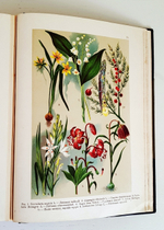 "Ботанический атлас. Описание и изображение растений Русской Флоры". Составил Н.А. Монтеверде, главный ботаник Имп. Ботанического сада Петра Первого. 1906 г. - редкая книга