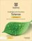 Cambridge Lower Secondary ScienceWorkbook Book 7 with Digital Access (1 Year)