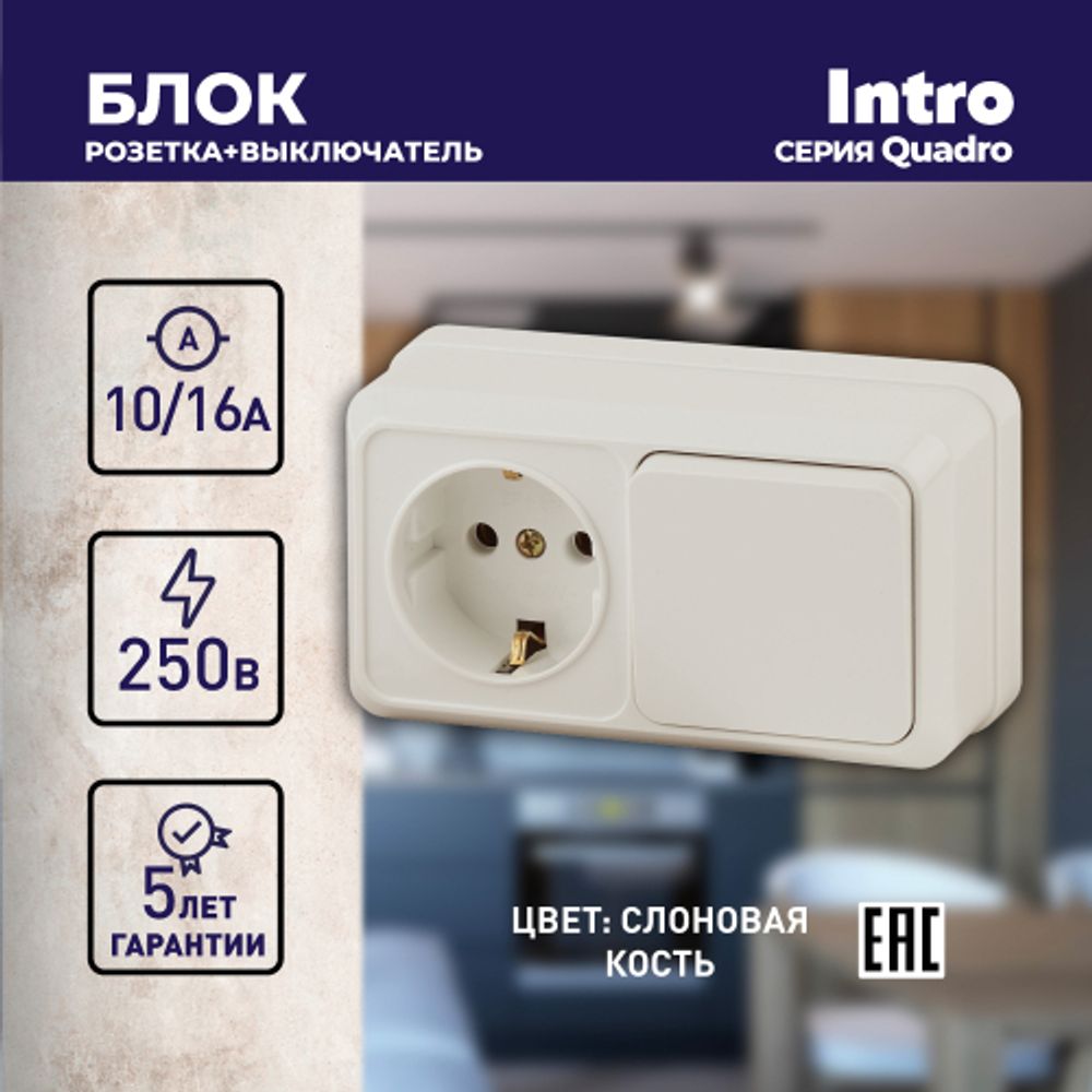 Блок розетка с выключателем Intro Quadro 2-701-02 горизонтальный 10А-250В, IP20, ОУ, слоновая кость