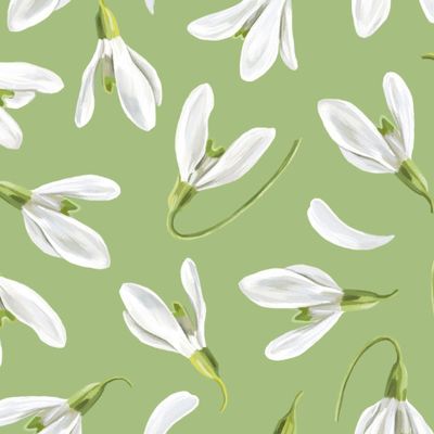 Подснежники на салатовом фоне